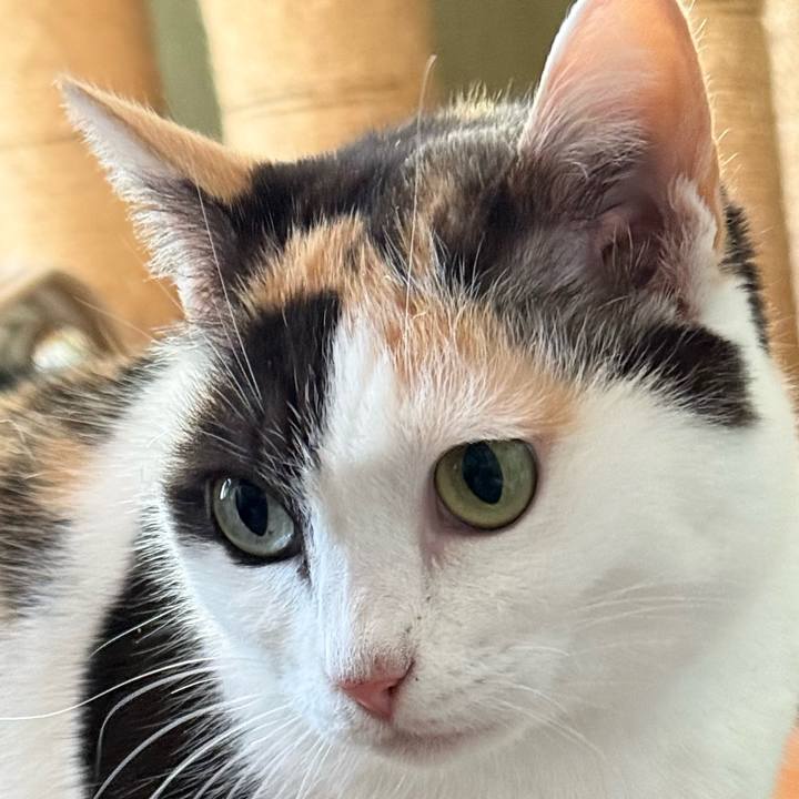 C017a375 c1c7 4f23 b800 91903885718c 1773451187124