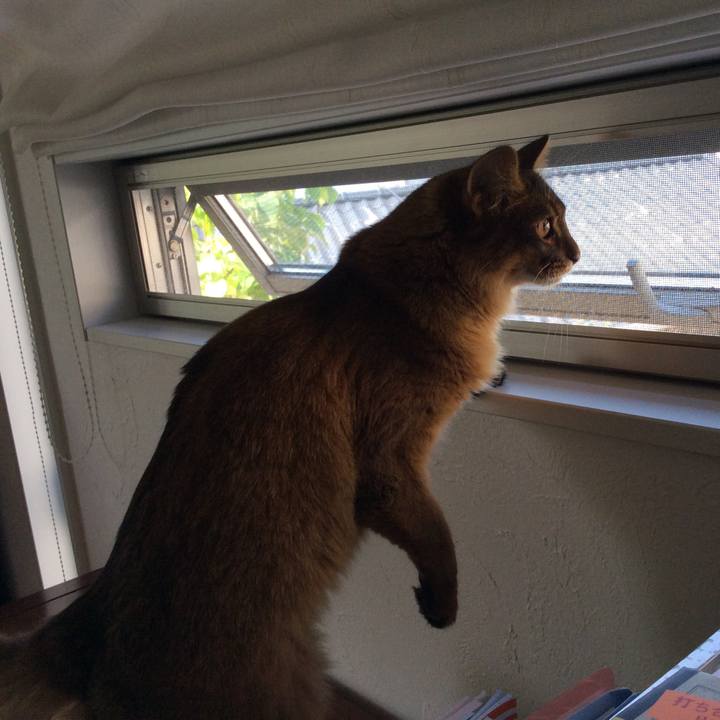 C017b923 15e2 4746 8e4c 920d284dce8e 1591663482708