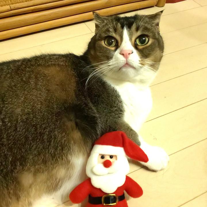 C017eb2e 7d25 407a b4ab f44d8688e288 1671894024039