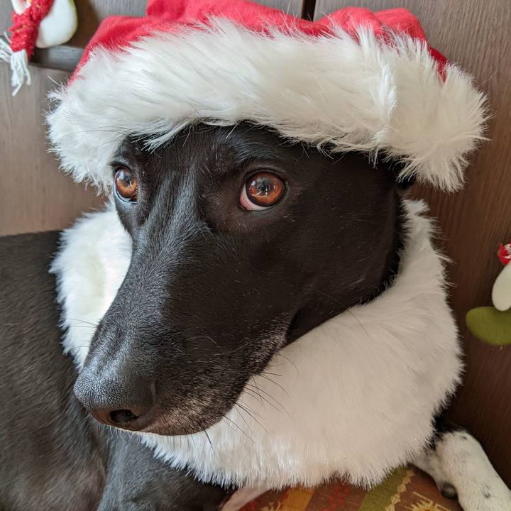 C018274d 5331 4a65 bd19 b18a9c272269 1640256538817