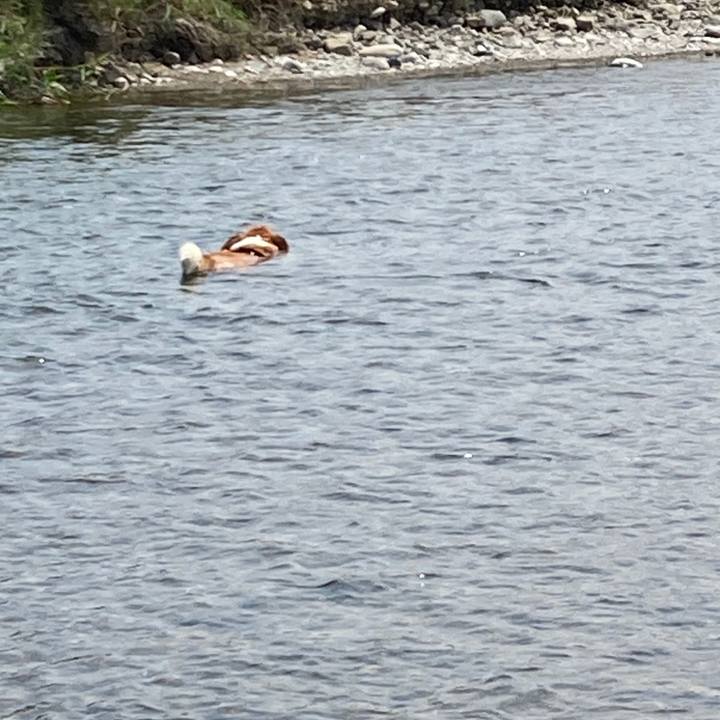 C0183be5 f648 4364 8291 7543b4441289 1747917862752