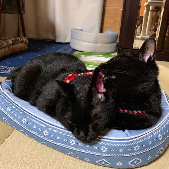 C0184cb4 c0bf 491e 82e5 3c96b6442bdb 1564842225187