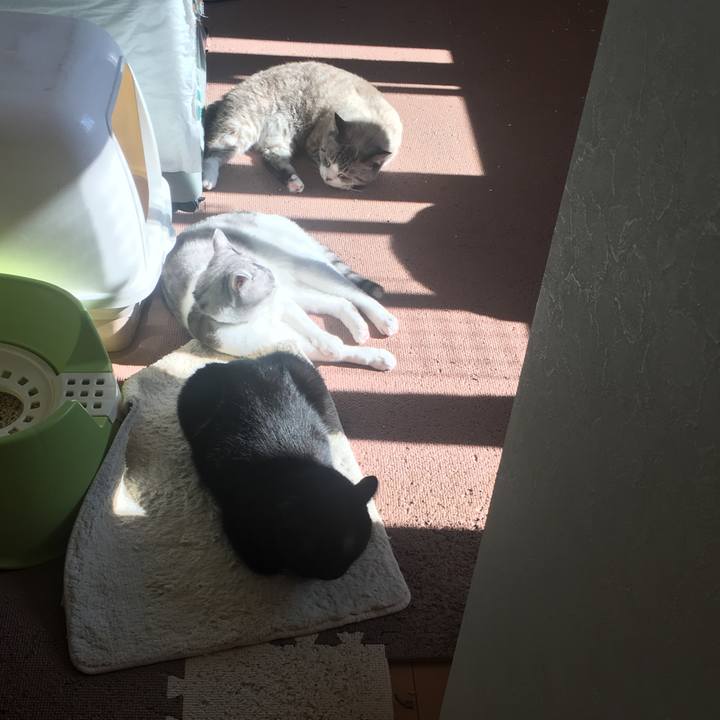 C01857ad 8611 4d9a 88b1 0fcaa6005f0a 1509932178513