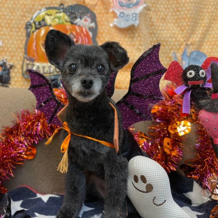 C0185af7 b06d 4c5e 9b39 013d044db895 1726990941374