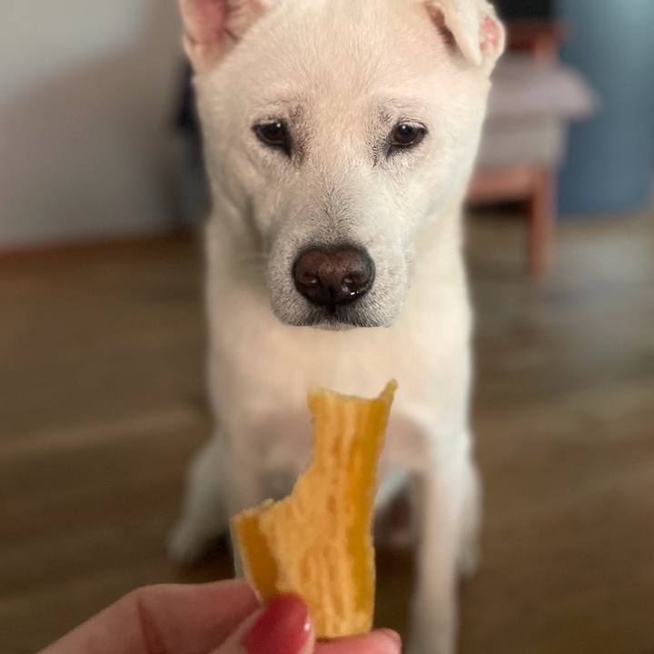 C01868e6 5669 4e08 ab10 8ef4b774242a 1761308104718