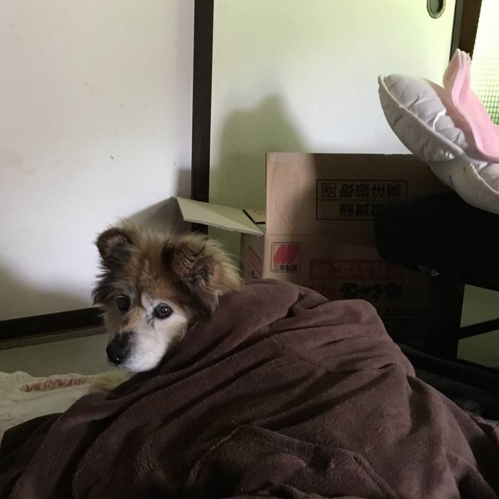 C0187f3b cdf0 4ae3 bfe5 227c258931aa 1615649858192