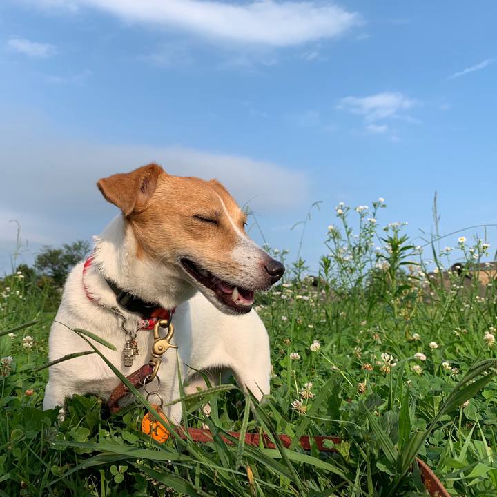 C0188c69 b9f2 476a b72b fcfbe092e742 1563869662618