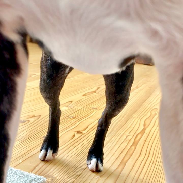 C0189833 dc07 442a afa2 c8dcd16ee6f8 1529631848647