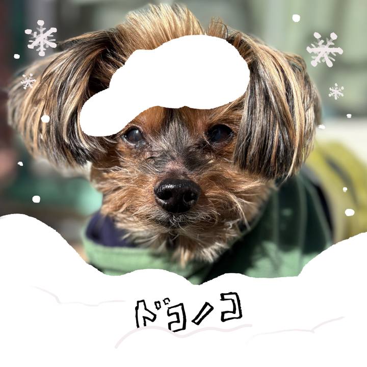 C018d3a0 41b0 46d8 aa7b e852fc8657fa 1771839180394