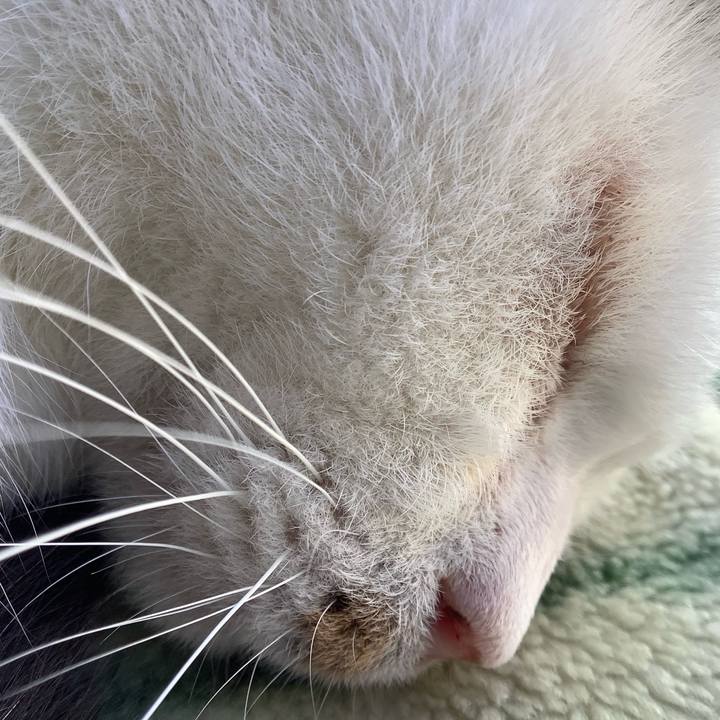 C018f99f 18bf 4e0d aabc 2437662100e9 1605538510050