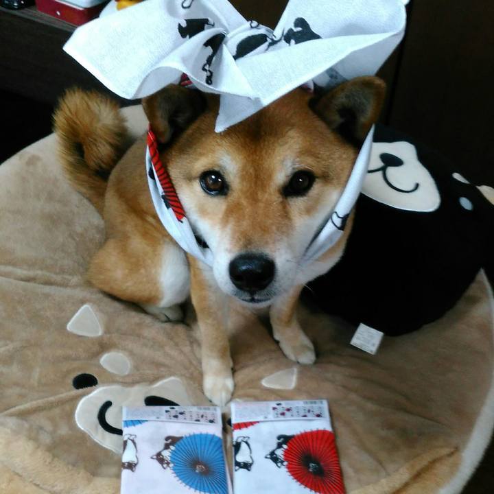 C0190874 46ca 4737 95b2 e76765a357a4 1553229196562