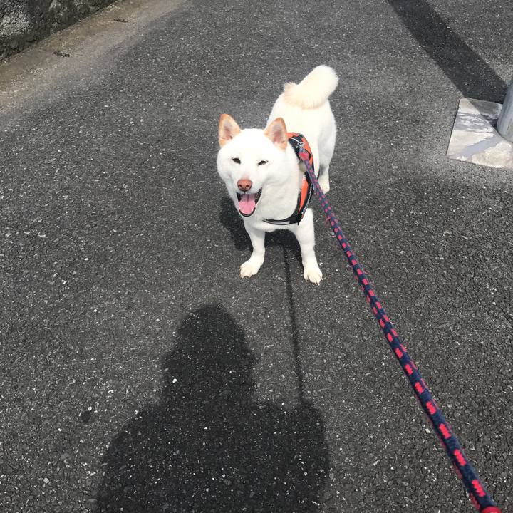 C0194b44 e862 4b88 b89e 5eaf6213af0f 1527206537076