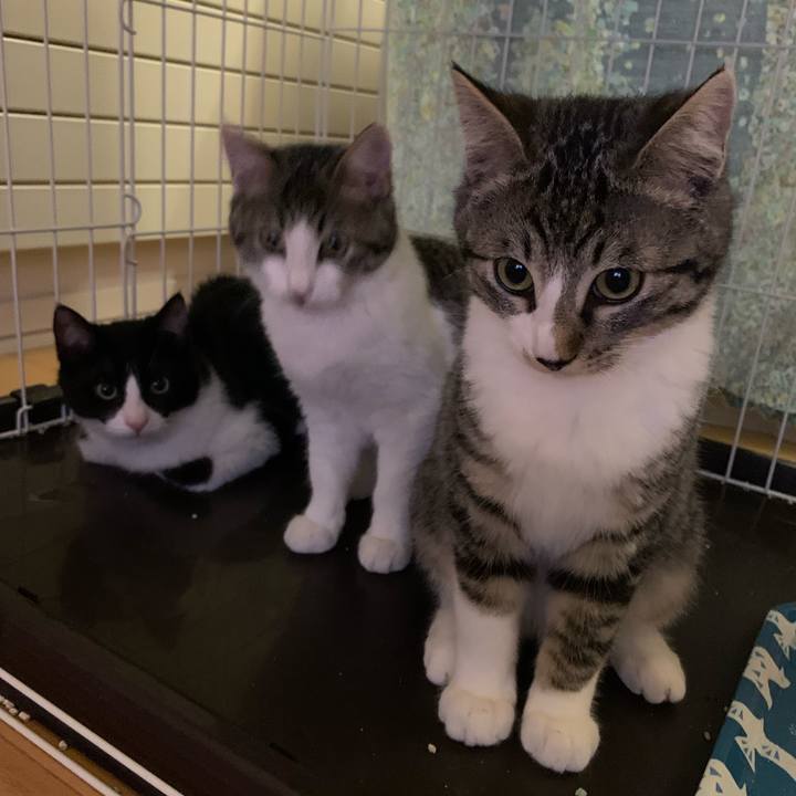 C019553a 58fe 404c 9ddf 0f03ce1924e3 1683173928265