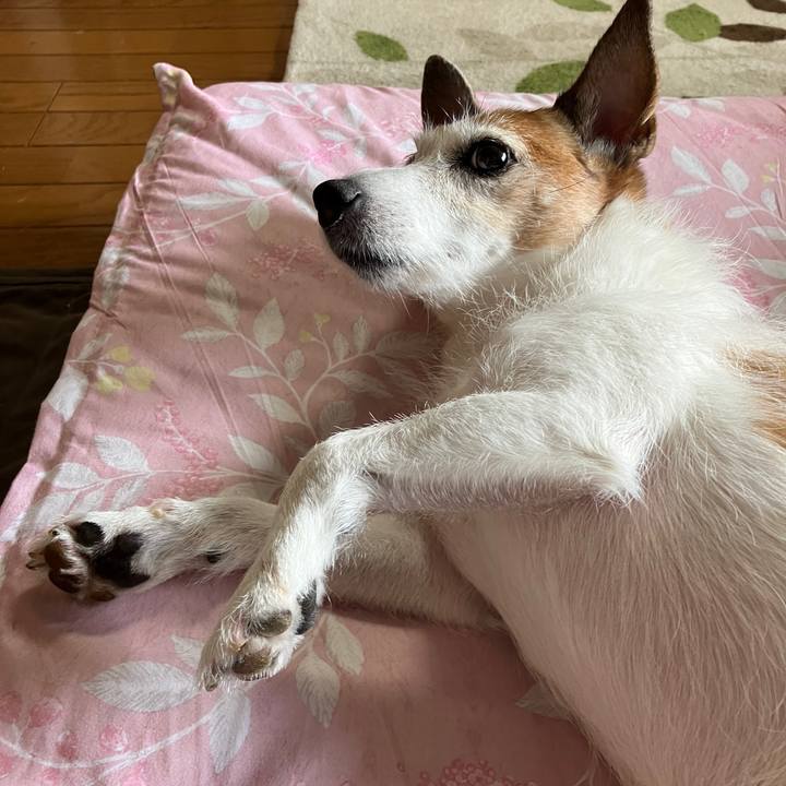 C0195660 ecd9 4a79 a149 47e82e2fc414 1724196007004