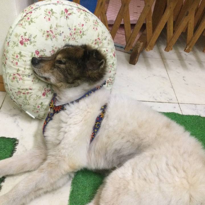 C01997d2 a34a 43a9 a330 4c1480bb15a4 1632234701458