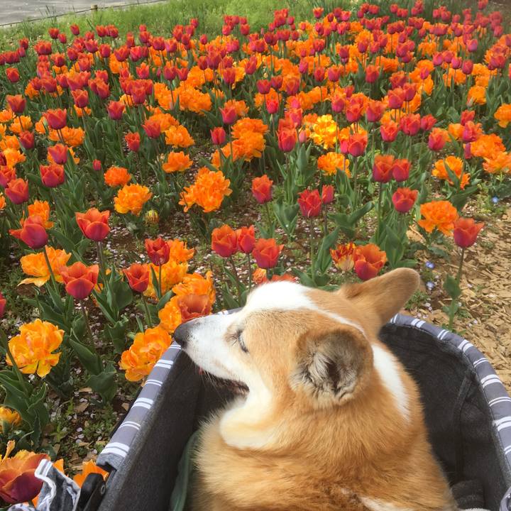 C019ae1f ba9d 4f71 8ca1 e01d21e70079 1555230424378