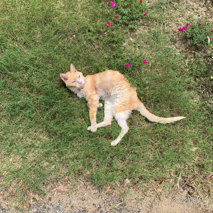 C019fe24 c8ed 47b1 a4ad 34df85d69f28 1660190644443