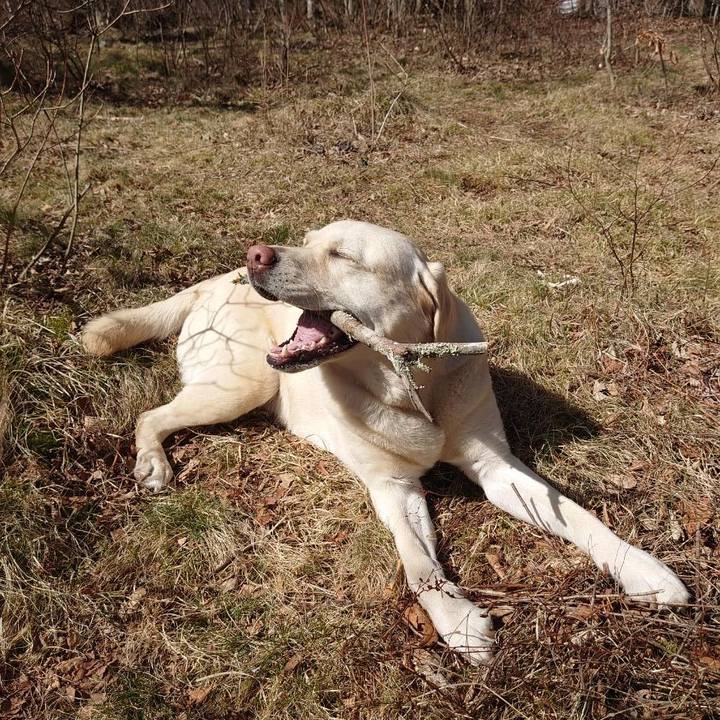 C01a0aa4 0a56 444c ba97 6b58d3f7dfcf 1619520496684