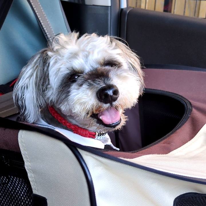 C01a2162 0a35 4478 bd41 a019df941e03 1753163904907