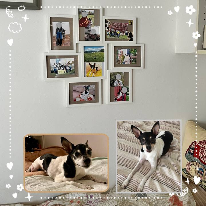 C01a3ee8 5e79 4df7 b559 9fe776f45bc7 1660001317937