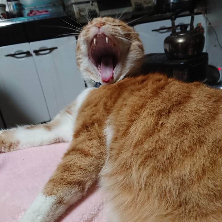 C01a8784 0fa8 41c2 81b2 31927e9c206f 1608708441898