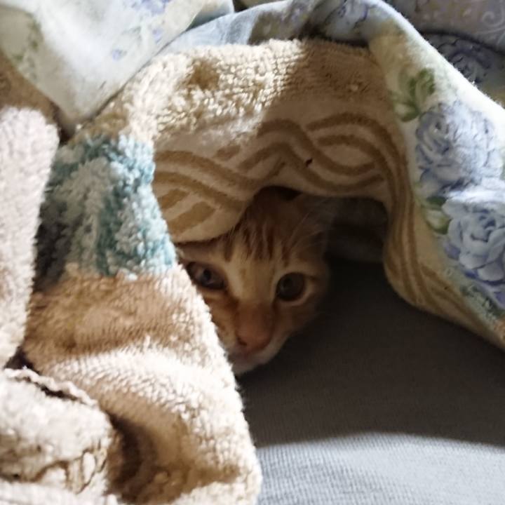 C01a9f33 5d6a 4d0f b44a 876c1450bc3e 1631824356489