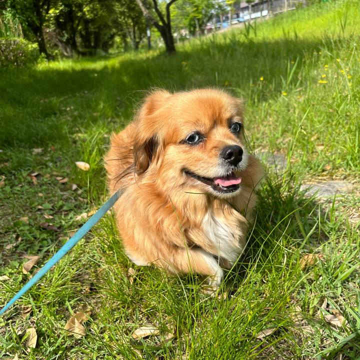 C01ab627 b24e 4f83 836c 5ae38f3206a2 1683331307518