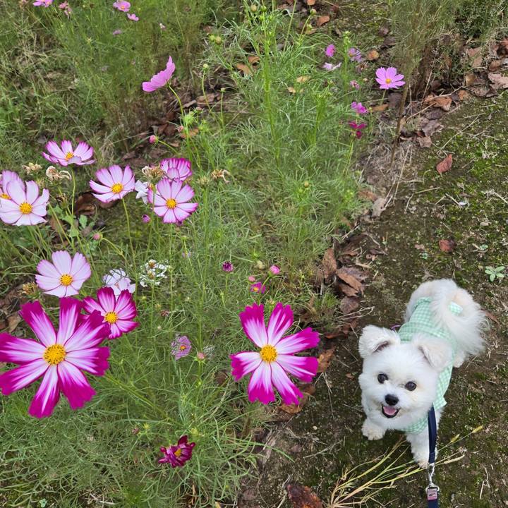 C01ae37f cbda 4f9b 8cca 029d6e66483a 1759923255903