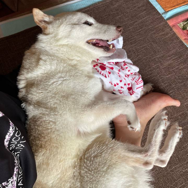 C01b2741 9b9d 47db be03 6bcb1d15f9f9 1666404884386