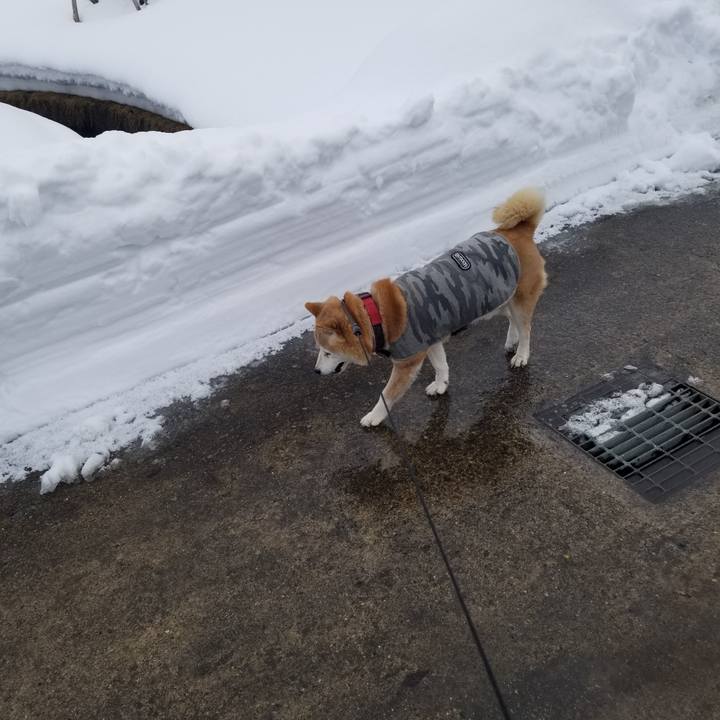 C01b4c2d ad4d 44c0 ac67 4d097d317c07 1738295169744