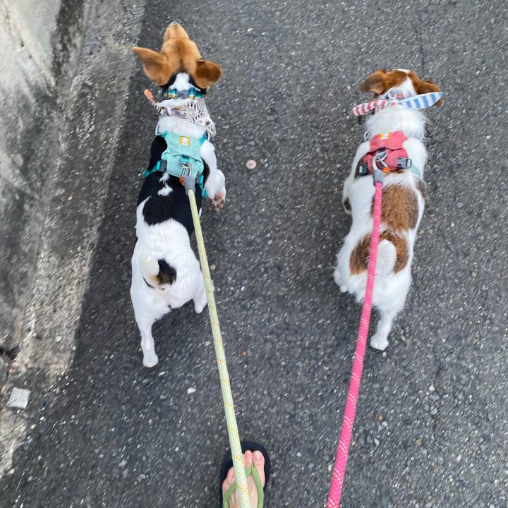 C01b61c0 eb7a 4c7b 98f4 00c4f4e793a6 1753222762740