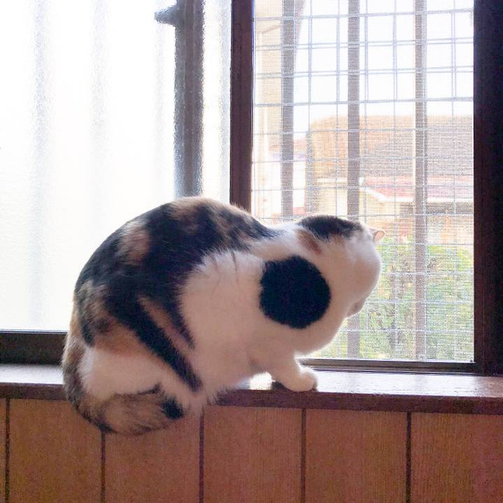 C01b6fed 93d6 48f6 b181 0ef6cb48722d 1520306107170