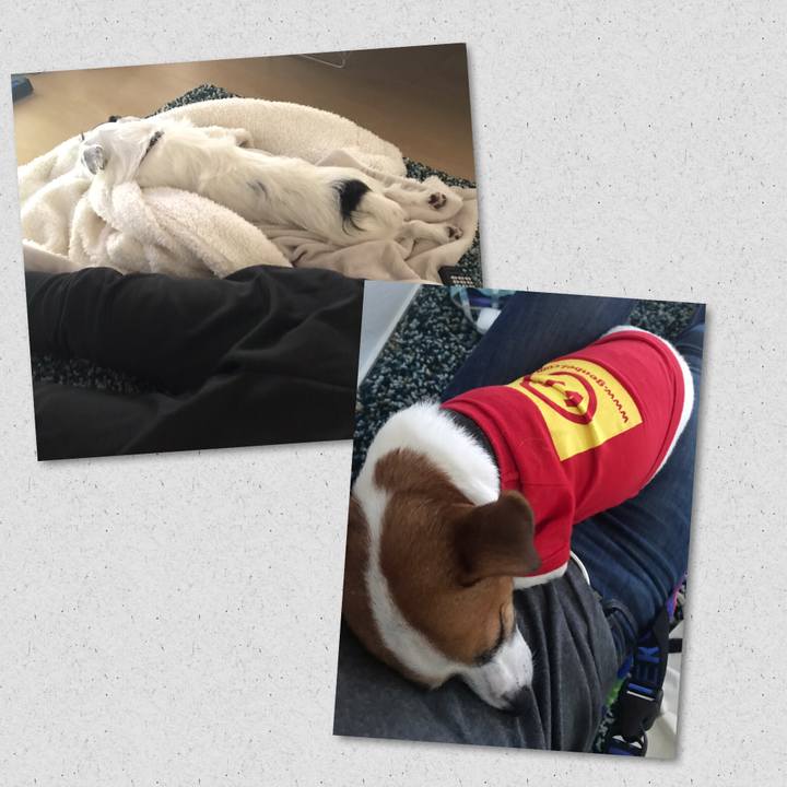 C01b8b89 abc1 4715 8574 f65e5f11e648 1538285900718