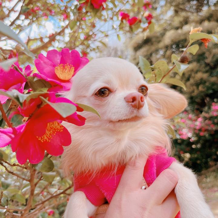 C01ba388 c812 43ca b5b7 3d768e0e68e0 1672717401794