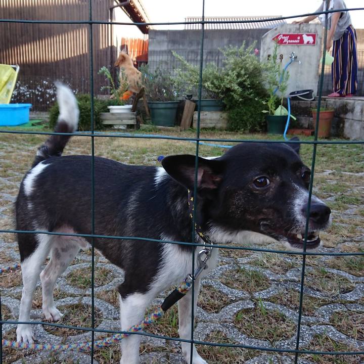 C01bbae0 c244 415b 8bf5 6e9237d1de34 1532427892555