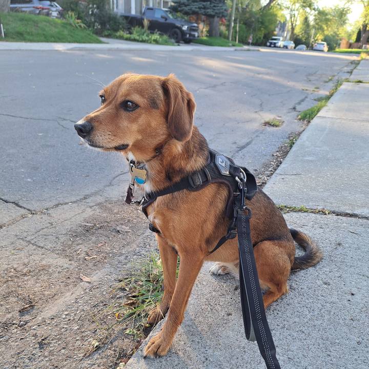 C01bfffb 5e12 4046 82d1 9d4acabc5169 1759281258692