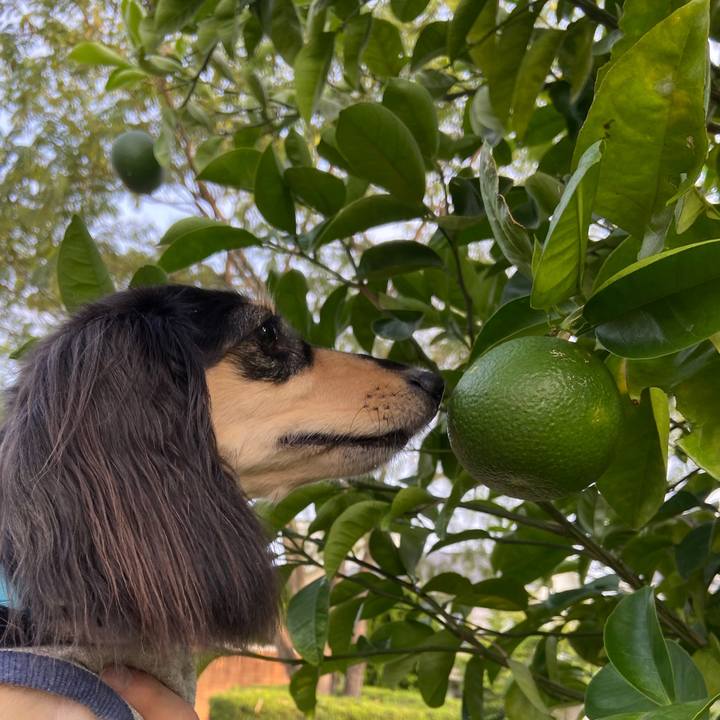 C01c1988 dc4e 47e0 8226 944ddbfd402e 1725747241457