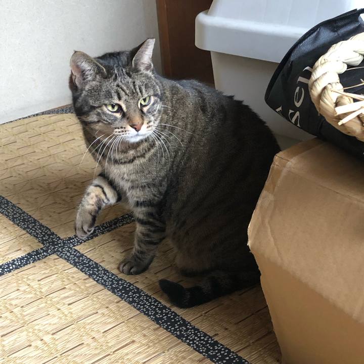 C01c4c82 7264 4e33 b837 7cc485c49c8f 1547197151205