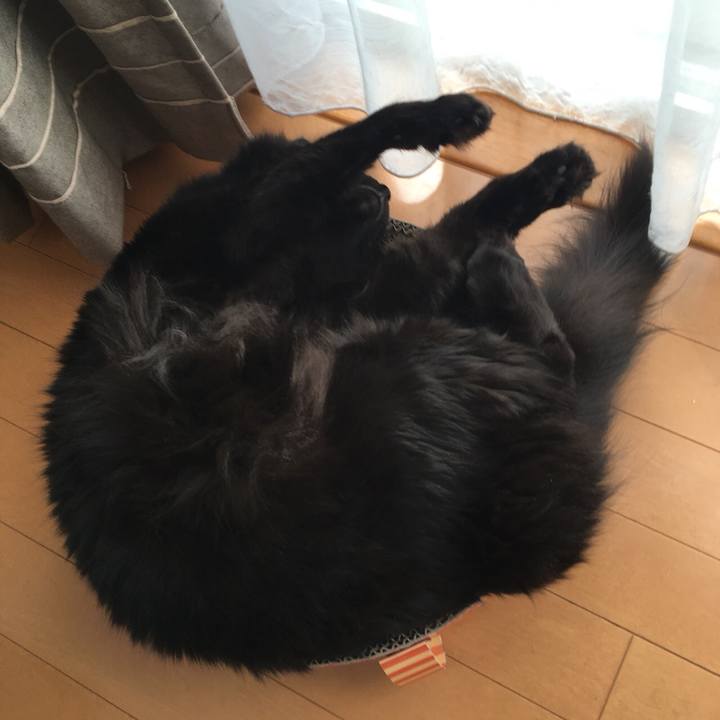 C01c6893 2b10 45e8 a0c0 b93b11005248 1527647622899