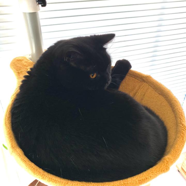 C01c6acb 1c31 41cd a451 94bee7e17afb 1605919889113