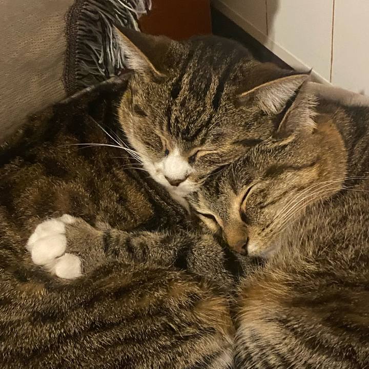 C01ca4d8 8d8d 42d0 a54f b442204b05e7 1713272071483