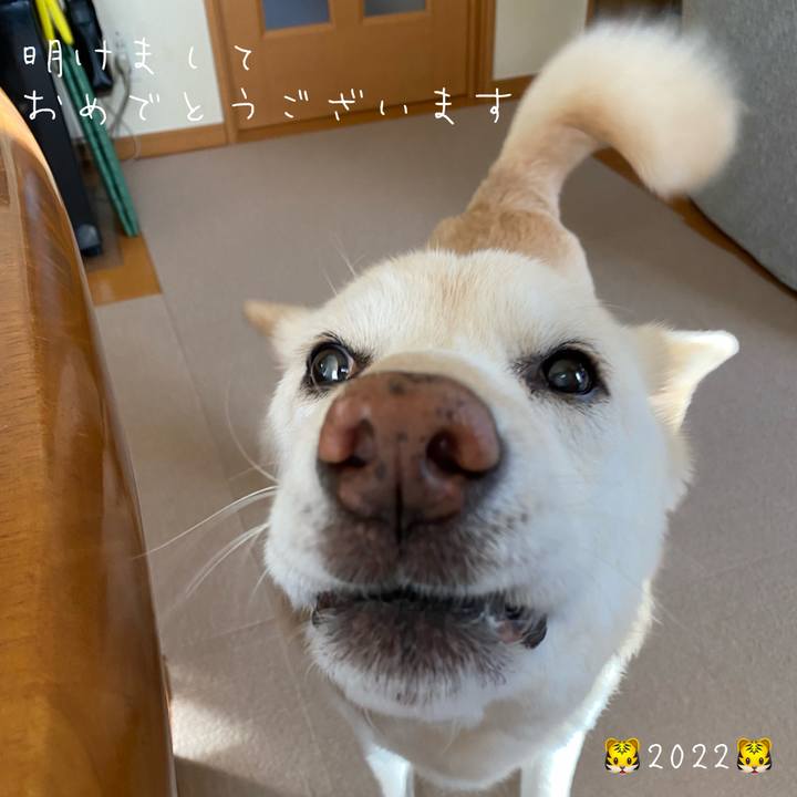 C01cd157 e938 432f 925f 855ad12cbb3a 1641032014047