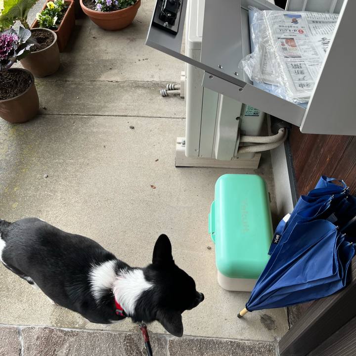 C01cde70 608d 46e2 8cbf 8fa5a5a4a1de 1709295754594