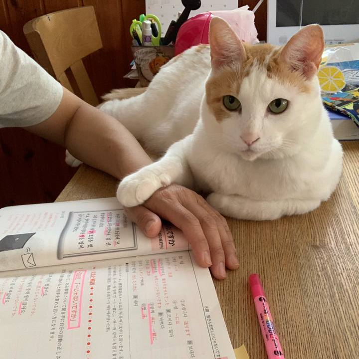 C01d19e6 d1dc 4e6a aa6b 90c7620d94a7 1565591141297