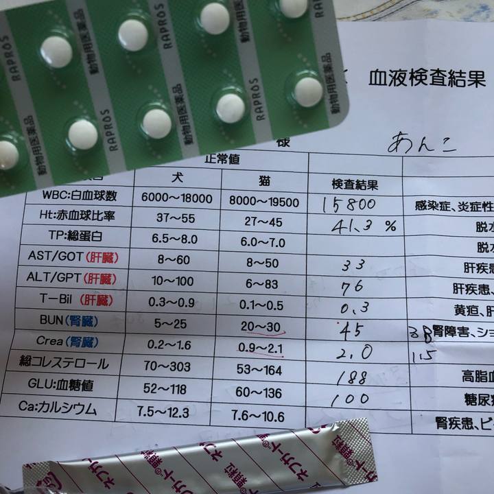 C01d304b f37e 47a8 ad77 f0220cc288c6 1562468702981