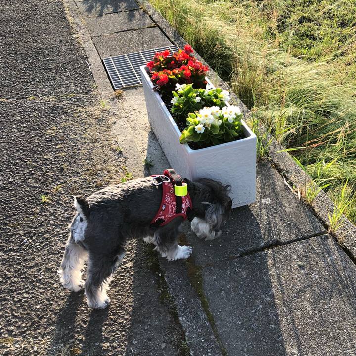 C01d35d1 741c 4e9c a7b8 224be2f4d849 1527922170529