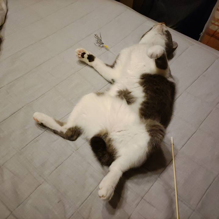 C01d46f8 7743 457e 9ddf c8e8a101bf11 1662218240826