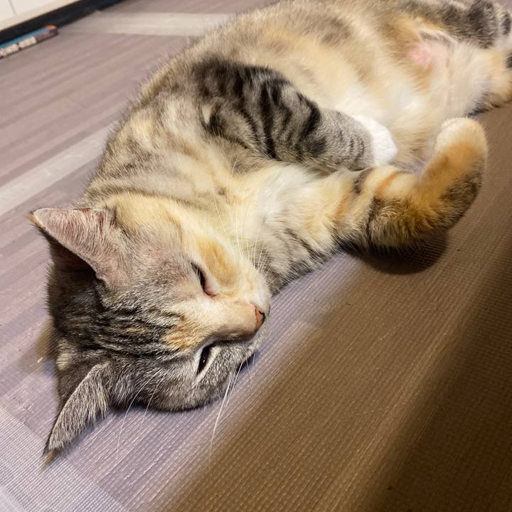 C01d4c11 8e94 404f 99f5 030676b63b1f 1631360124461