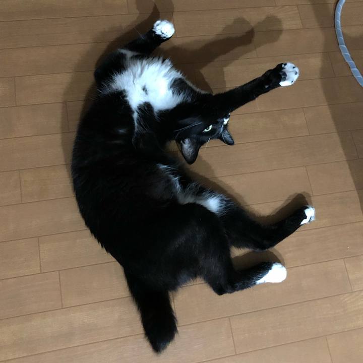 C01d6783 728c 493f abb7 2cb5637b580c 1631850080757