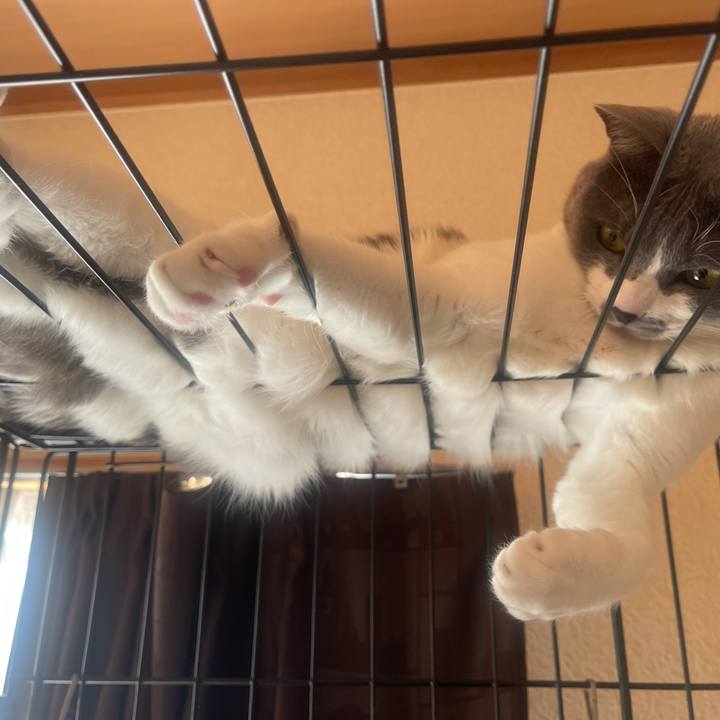 C01d7000 426b 4f01 a2ca d72ab0845164 1644631421694